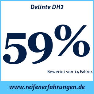 Reifentest ganzjährig Delinte DH2