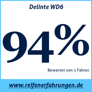 Reifentest Winter Delinte WD6