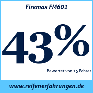 Reifentest Sommer Firemax FM601