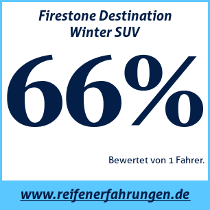 Reifentest Winter Firestone Destination Winter SUV