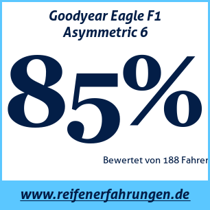 Reifentest Sommer Goodyear Eagle F1 Asymmetric 6
