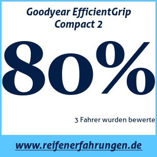 Reifentest Sommer Goodyear EfficientGrip Compact 2
