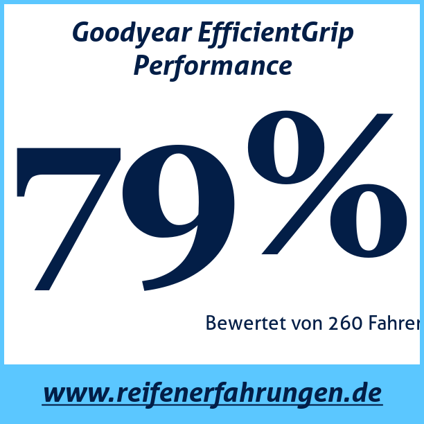 Test pneumatik Goodyear EfficientGrip Performance 205 55 R16 91V