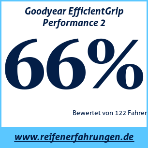 Reifentest Sommer Goodyear EfficientGrip Performance 2
