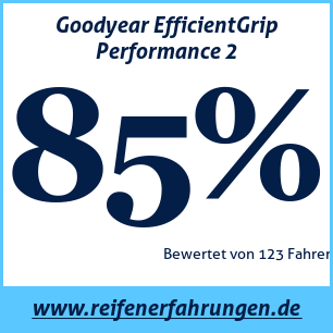 Reifentest Sommer Goodyear EfficientGrip Performance 2