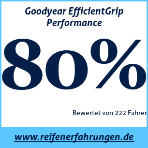 Reifentest Sommer Goodyear EfficientGrip Performance