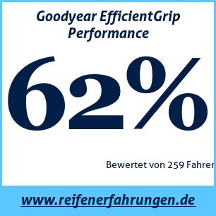 Reifentest Sommer Goodyear EfficientGrip Performance