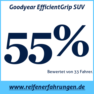 Reifentest Sommer Goodyear EfficientGrip SUV