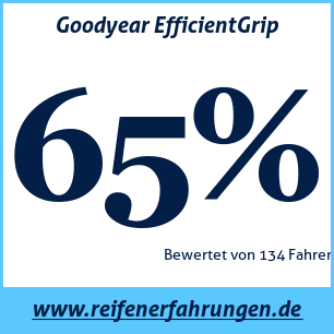 Reifentest Sommer Goodyear EfficientGrip
