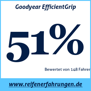 Reifentest Sommer Goodyear EfficientGrip