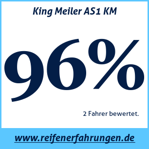Reifentest ganzjährig King Meiler AS1 KM