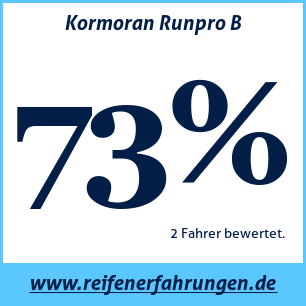 Reifentest Sommer Kormoran Runpro B