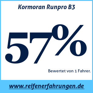 Reifentest Sommer Kormoran Runpro B3