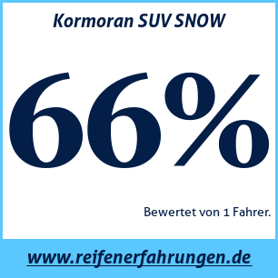 Reifentest Winter Kormoran SUV SNOW