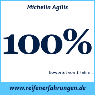 Reifentest Sommer Michelin Agilis