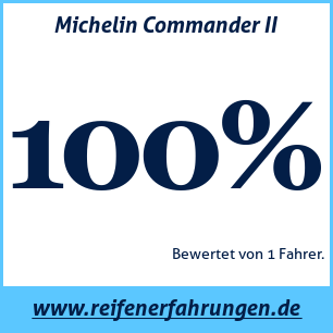 Reifentest Sommer Michelin Commander II