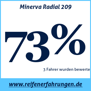 Reifentest Sommer Minerva Radial 209