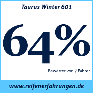 Reifentest Winter Taurus Winter 601