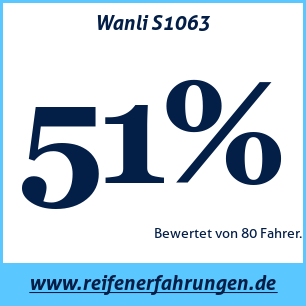 Reifentest Sommer Wanli S1063